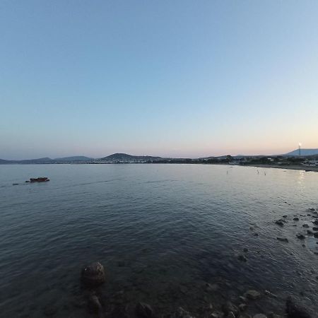 Flat With Garden Near Sea, Port And Airport Apartment อาร์เตมีดา ภายนอก รูปภาพ