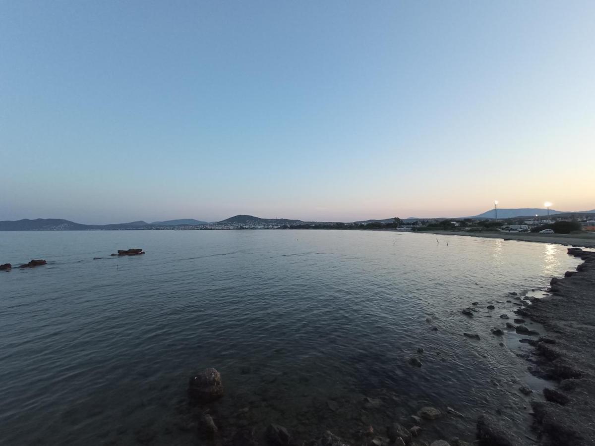 Flat With Garden Near Sea, Port And Airport Apartment อาร์เตมีดา ภายนอก รูปภาพ